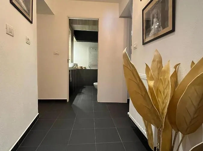 Old Town Napoleon Crib 公寓 布加勒斯特